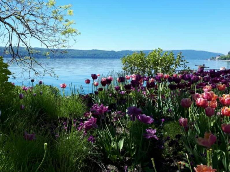 Lakeview Penthouse Meersburg Luaran gambar
