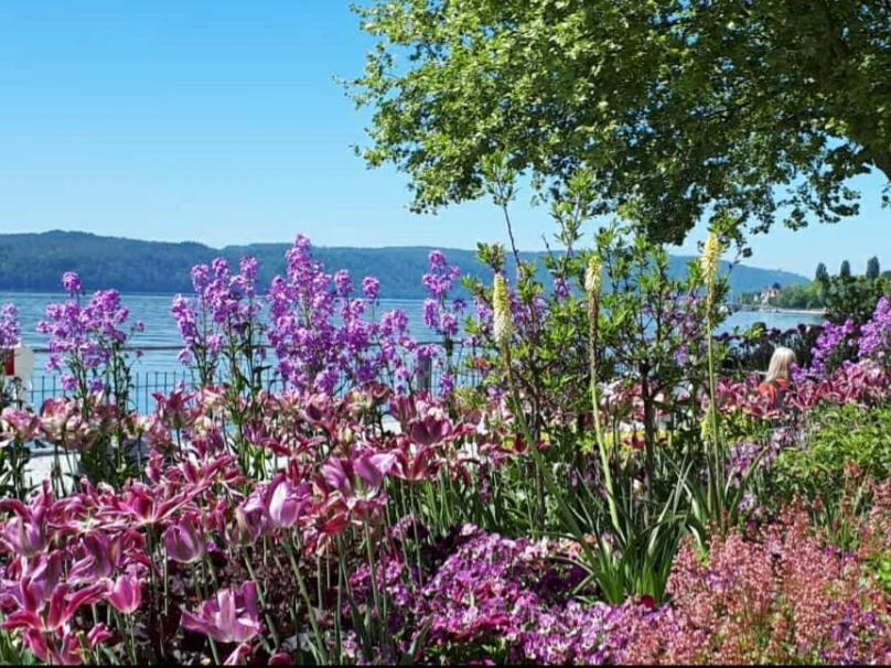 Lakeview Penthouse Meersburg Luaran gambar